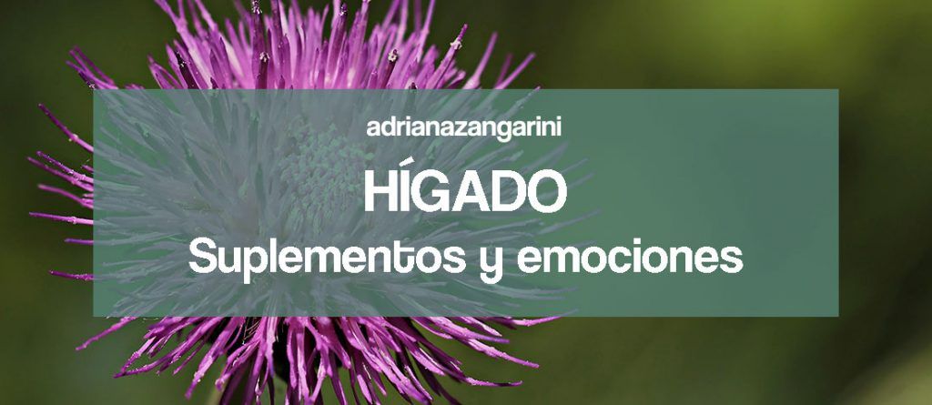 Higado suplementos emociones