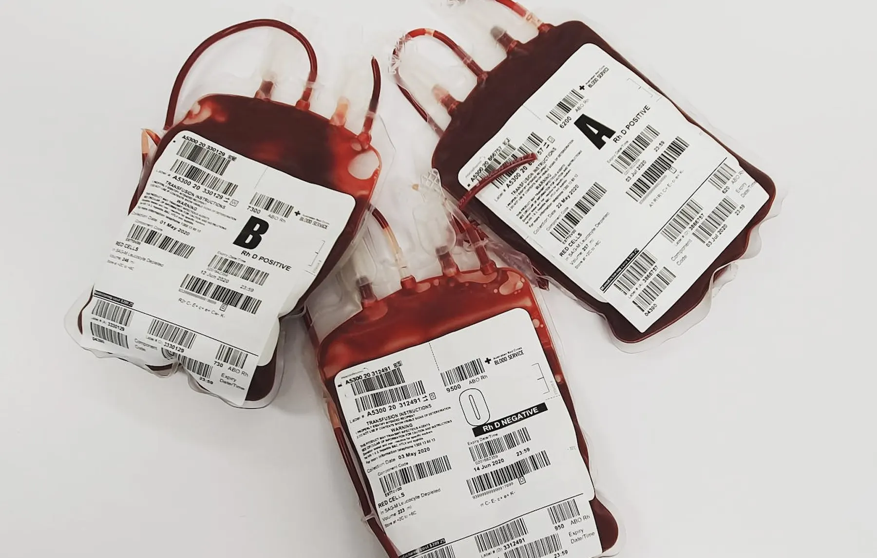 tipo-de-sangre-dadamo