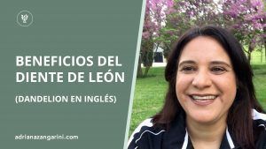 Beneficios del diente de león para el higado